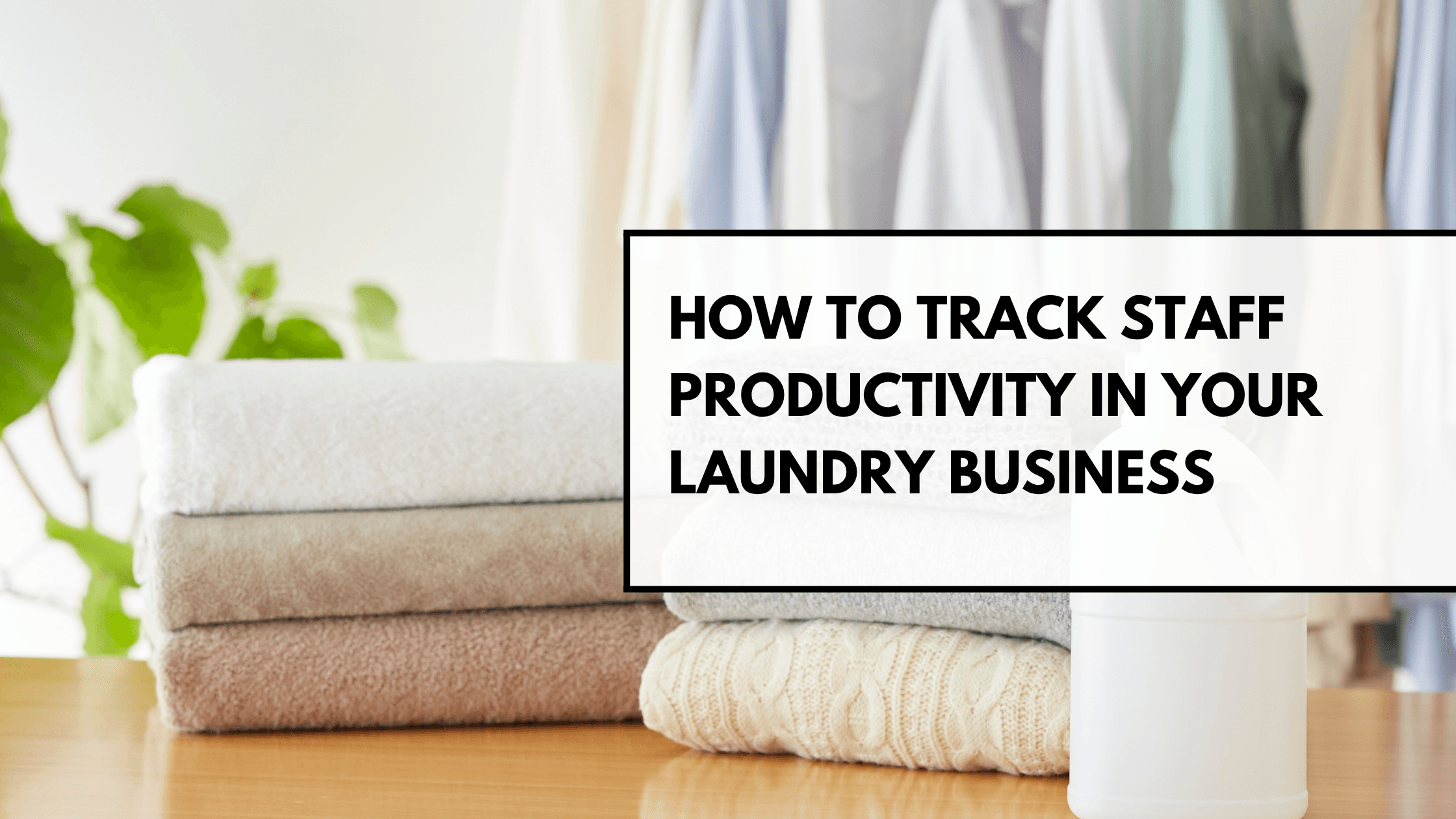 How to Track Staff Productivity in Your Laundry Business